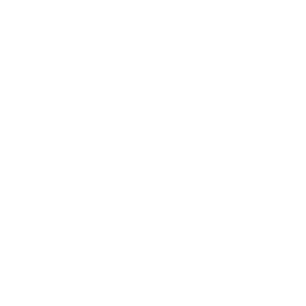 Chef icon